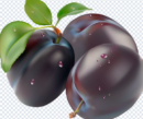 plum_png