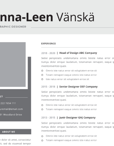 Professional CV Resume Vol.44