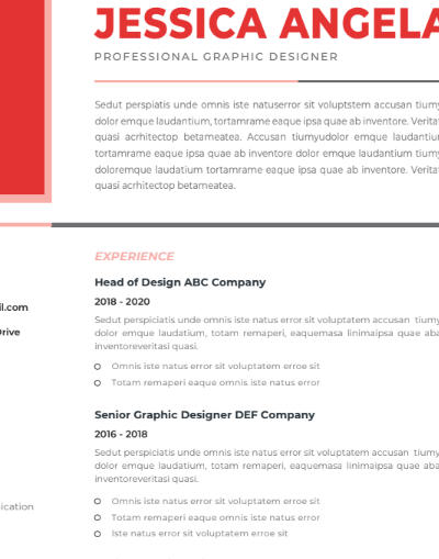 Professional CV Resume Vol.45