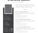 Professional CV Resume Vol.1