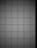White grid.mp4