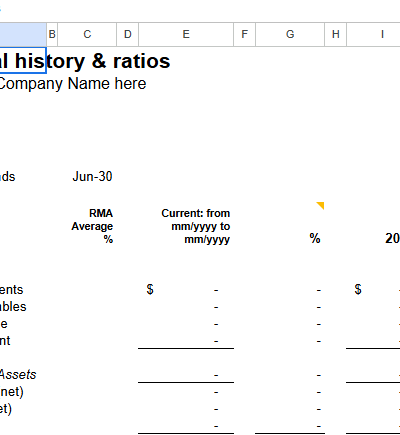 Financial history ratios.xlt