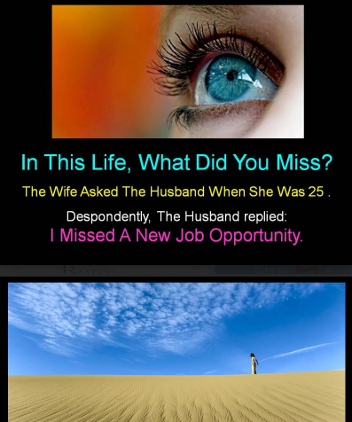 What did you miss