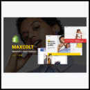 elements maxcolt minimal clean fashion shopify