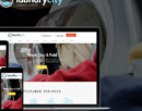 elements laundry city dry cleaning washing servic