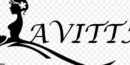 elements lavitta wedding-shop-fashion-shopify